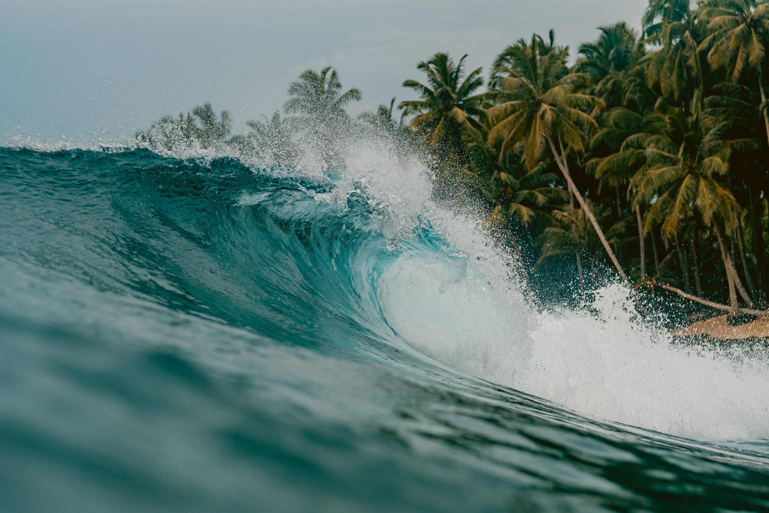 Die Innenansicht der riesigen brechenden Welle des Meeres in Mentawai Inseln, Indonesien