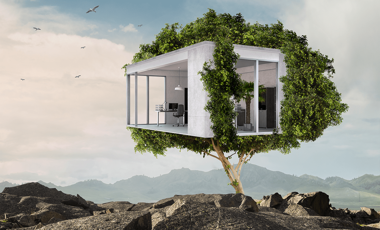 Modernes Büro mit Betonwänden steckt in einem Baum