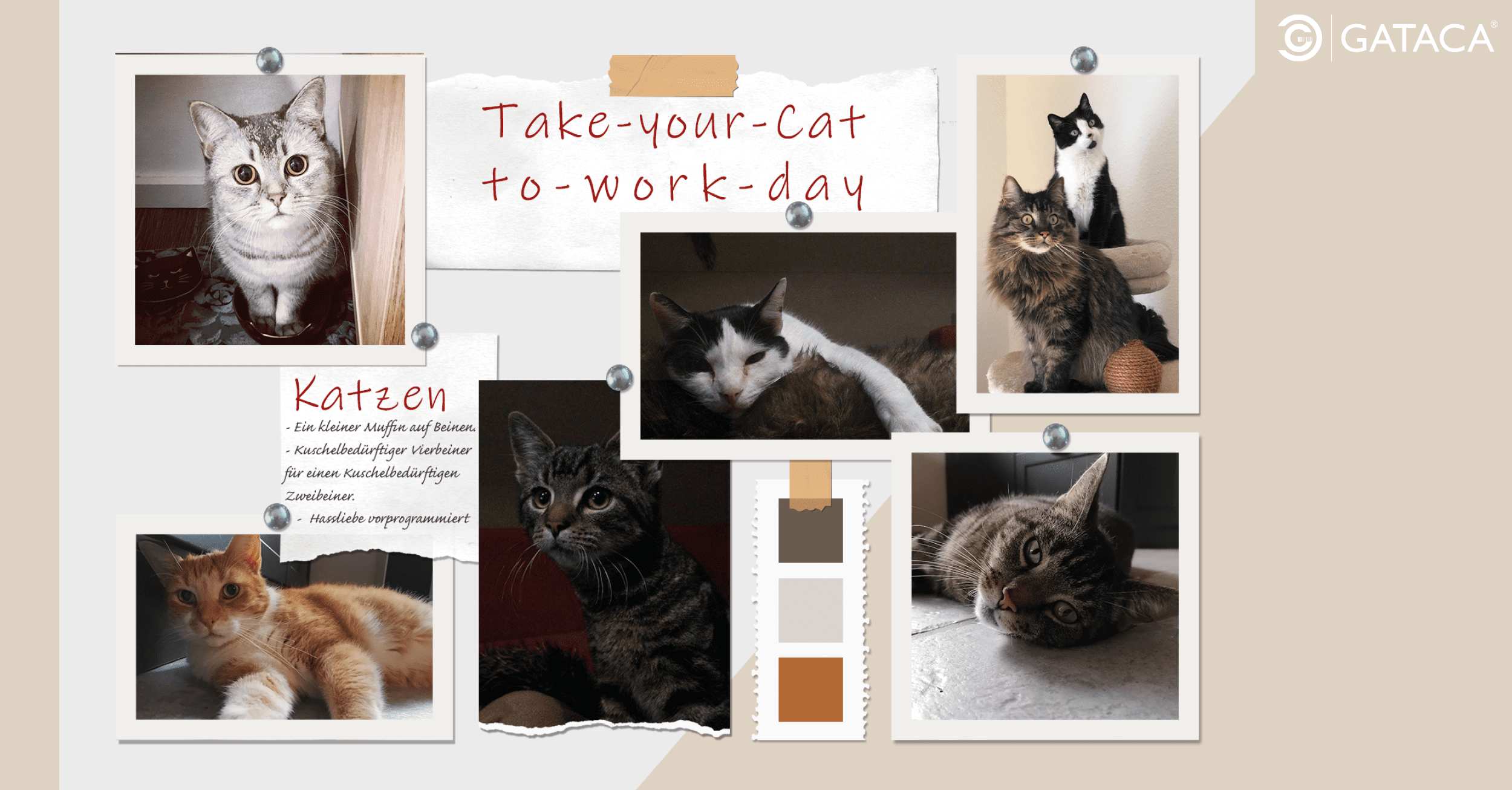 Social Media posting zum Tag des: Nimm deine Katze mit zur Arbeit tag mit einer Collage der Katze von Mitarbeitern